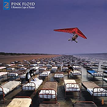 【中古】「ほぼ新品」［CD］A Momentary Lapse of Reason (Remixed & Updated 2019)