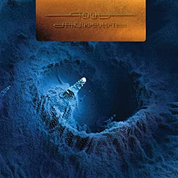 【中古】「非常に良い」［CD］Fear Inoculum (Limited Edition Vinyl) [12 inch Analog]｜オマツリライフ別館