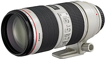 【中古】(非常に良い)Canon 望遠ズームレンズ EF70-200mm F2.8L IS II USM フルサイズ対応|オマツリライフ別館