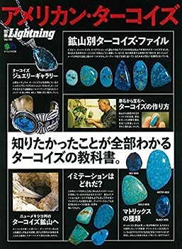 楽天市場】エイ出版社 Ei-Publishing 本・書籍 別冊Lightning Vol.199