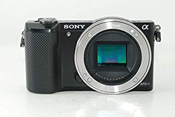 【中古】「人並み外れたに好いたらしい」SONY ソニー α5000 上半身 黒いこと