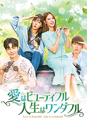 【中古】愛はビューティフル、人生はワンダフル DVD-BOX4