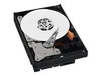 【中古】「人並み外れたに好いたらしい」WESTERN 500GB 5400RPM 32MB BUFFER SATA II300 3.5INCH-AUDIO VIDEO GREEN POWER - WD5000AVDS by Western Digital [並行輸入品]