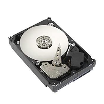【中古】「人並み外れたに好いたらしい」500GB 5900RPM SATA DVR (ST3500312CS) - by Seagate Bulk [並行輸入品]