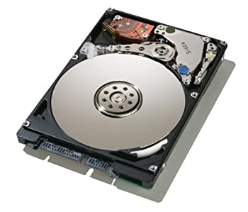 【中古】Hitachi HDT721010SLA360 1000GB Hard Drive [並行輸入品]｜オマツリライフ別館