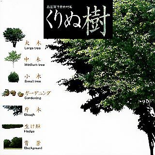 【中古】「人並み外れたに好いたらしい」高画質添景原料品集 くりぬ樹