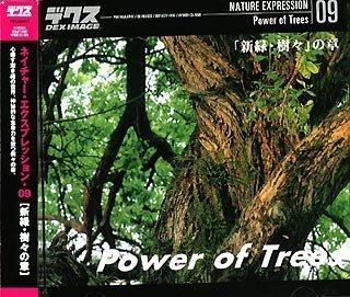 【中古】「ほぼ新品」ネイチャー・エクスプレッション 09 「新緑・樹々」の章