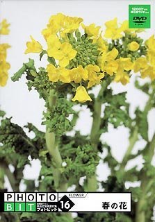 【中古】「ほぼ新品」Photobit 16 春の花