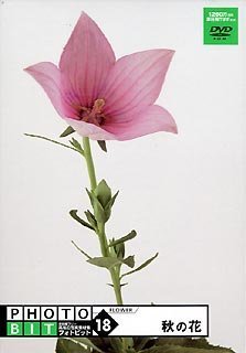 【中古】「非常に良い」Photobit 18 秋の花