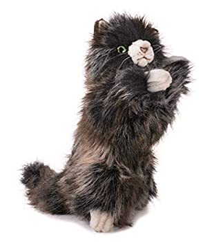 【中古】「未使用品」コネコ No.5022