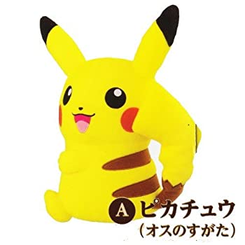 楽天市場 中古 ポケットモンスター Xy Pokemon オス メス スーパーdxぬいぐるみ ピカチュウ オス メス A ピカチュウ オス のすがた 単品 オマツリライフ別館