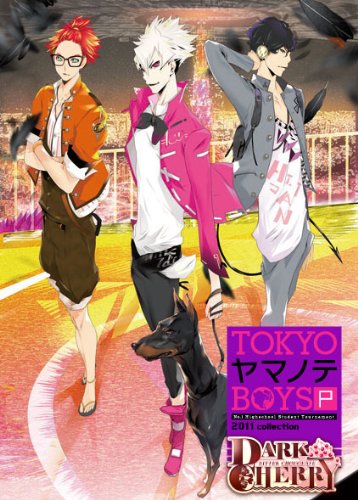 【中古】「未使用品」TOKYOヤマノテBOYS Portable DARK CHERRY DISC (通常版)
