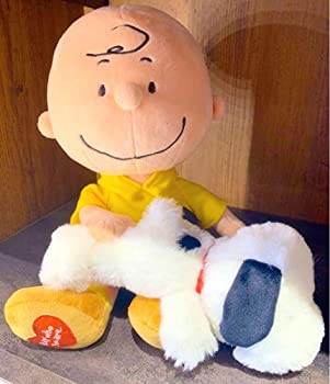 最高 その他 バレンタイン ぬいぐるみ チャーリーブラウン Snoopy 中古 Usj Www Dgb Gov Bf