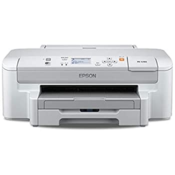 その他 EPSON PX-1001 61Con+PbybL._UF1000,1000_QL80_.jpg