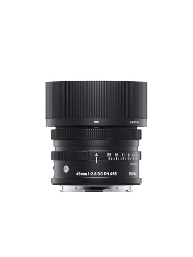 【中古】「未当て嵌める品」シグマ(Sigma) SIGMA シグマ Lマウント 水晶体 45粍 F2.8 DG DN 単興味の中心 標準尺度 フルサイズ Contemporary 鏡鑑受け答え 専用