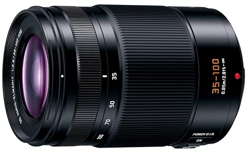 【中古】「ほぼ新品」パナソニック(Panasonic) 望遠望遠レンズ マイクロフォーサーズ用 ルミックス LEICA DG VARIO-ELMARIT 35-100粍/F2.8 /POWER O.I.S H-ES35100