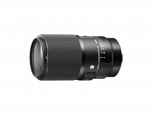【中古】「未当て嵌める品」シグマ(Sigma) SIGMA シグマ Sony Eマウント 水晶体 105粍 F2.8 DG DN MACRO 単興味の中心 望遠 フルサイズ Art鏡鑑受け答え専用