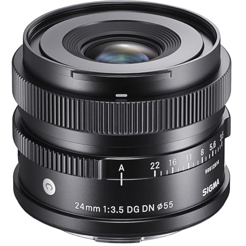 【中古】「未当て嵌める品」シグマ(Sigma) SIGMA シグマ Lマウント 水晶体 24粍 F3.5 DG DN 単興味の中心 広角 フルサイズ Contemporary 鏡鑑受け答え 専用