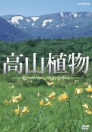 【中古】「ほぼ新品」高山植物/花々が咲く、名山を歩く [DVD]