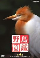 【中古】「ほぼ新品」野鳥図鑑 第4集 [DVD]