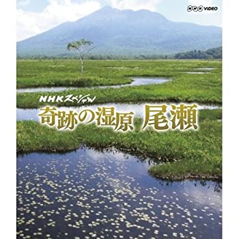 【中古】「未使用品」NHKスペシャル 奇跡の湿原 尾瀬