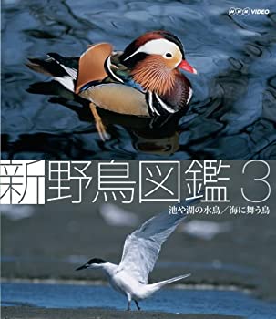 【中古】新 野鳥図鑑 第3集 池や湖の水鳥/海に舞う鳥 [Blu-ray]
