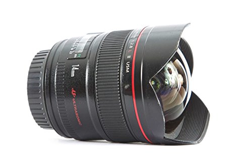 【中古】「人並み外れたに好いたらしい」Canon EF 14粍 f/2.8L II USM