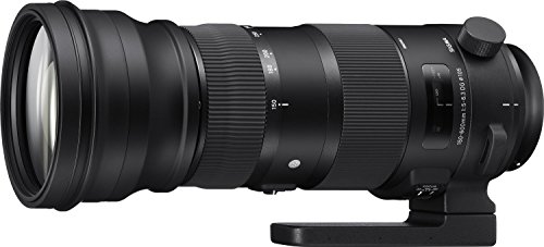 【中古】「非常に良い」SIGMA 150-600mm F5-6.3 DG OS HSM | Sports S014 | Canon EFマウント | Full-Size/Large-Format