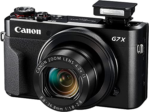 【中古】「人並み外れたに好いたらしい」Canon Powershot G7 X Mark Ii