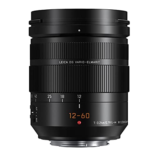 【中古】「ほぼ新品」Panasonic LUMIX Professional 12-60粍 写真機水晶体 Leica DG Vario-ELMARIT F2.8-4.0 ASPH Dual I.S. 2.0 Power O.I.S