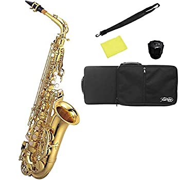 【中古】（非常に良い）Kaerntner ケルントナー アルトサックス KAL-62