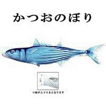 鯉のぼり 変わり鯉のぼり【魚図鑑つづき物 鰹】 かつお旗幟 2ｍ カツオ