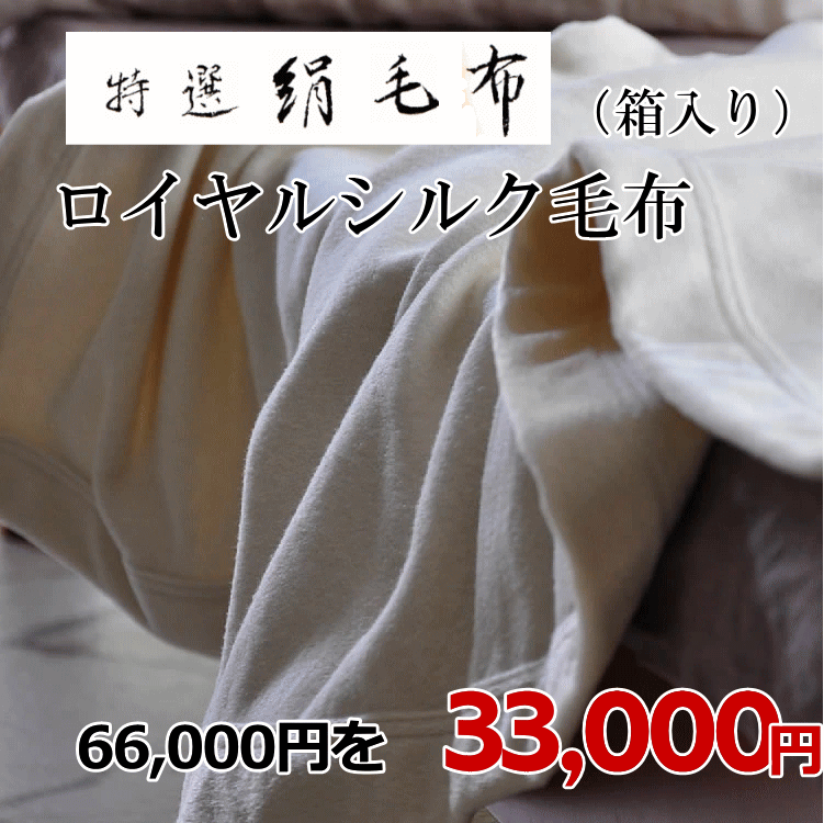 楽天市場】＼スーパーセール 80％オフ／ 11日1：59まで シルク毛布