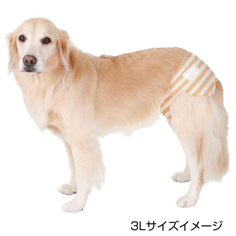 ペティオ (Petio) 犬用オムツ zuttone 介護から生まれた紙おむつ 3L 12枚×8個 ケース販売