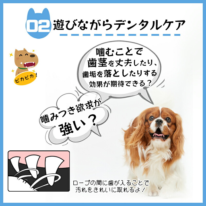 選べる7点セット 犬 噛む 送料無料 力 コットン 犬おもちゃ おもちゃ ロープ 犬用玩具 強い 安全 ペット