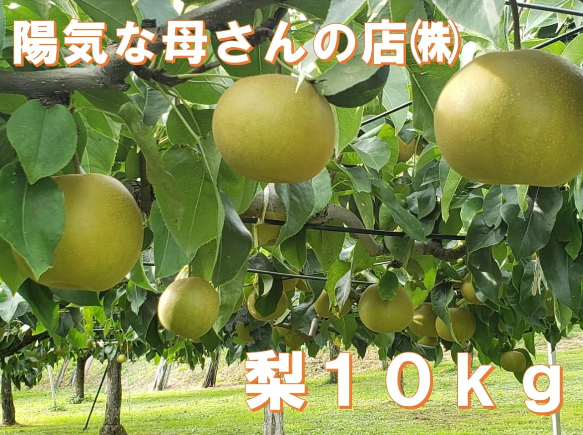 にこやかさな御母の店 真只中山梨 10kg Nenewsroom Com