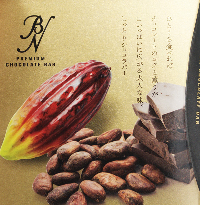 奏でるショコラしっとりバー9個入 信州長野のお土産 お菓子 洋菓子 上品なスタイル ショコラクッキー チョコレートクッキー チョコレートのお菓子