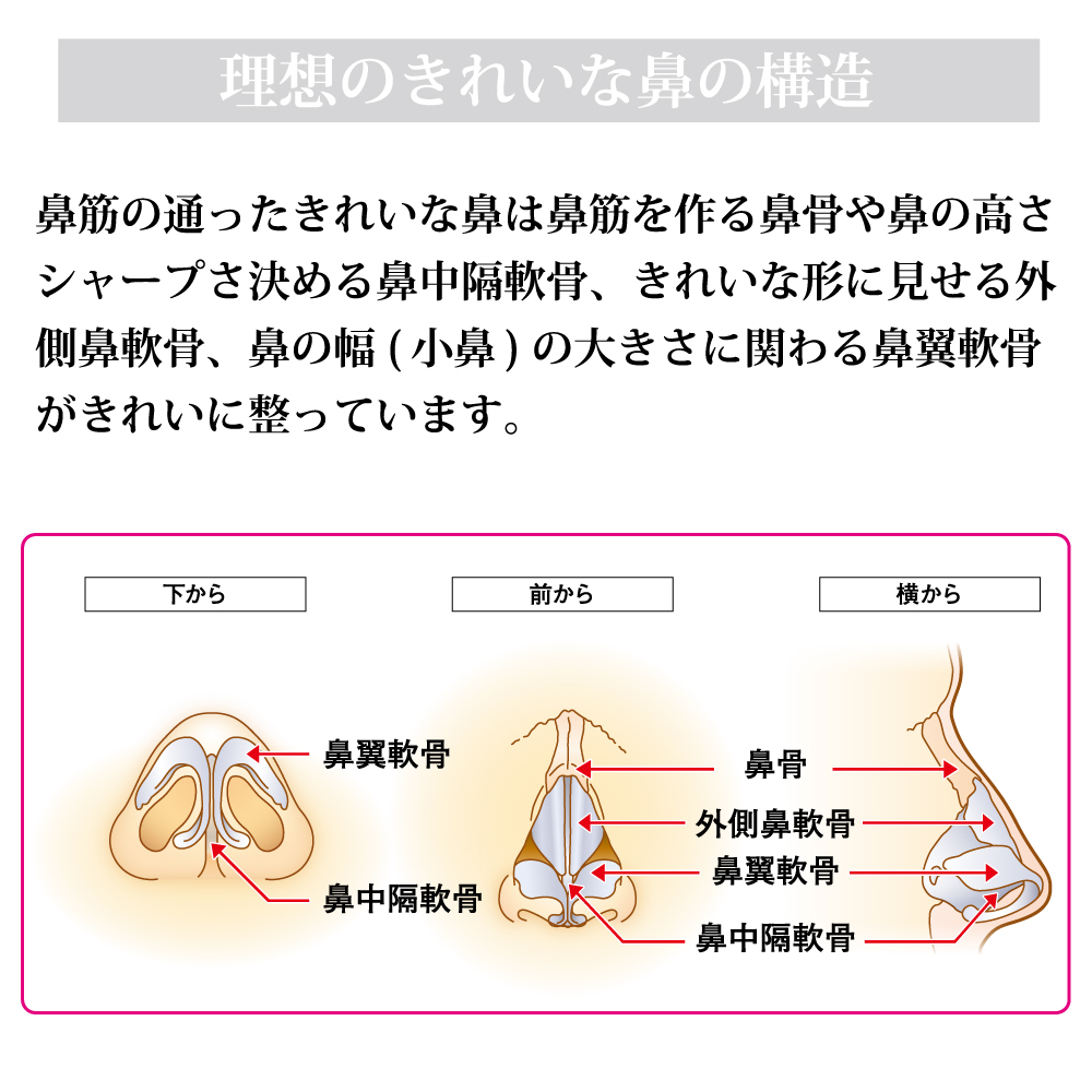 点上騰 2倍する ビューティー鼻更改入物具 鼻 矯正 鼻 高い値段で 鼻プチ 美鼻 スキーリフトアップ 鼻筋 団子鼻 矯正 わし鼻 にんにく鼻 E道路 小鼻 プチ整形 Omni オムニ 美顔器 ビューティーリフトハイノーズex エクストラ Daemlu Cl