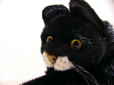 楽天市場】KOESEN ケーセン社 ねそべり猫 (小) 黒 5470〜ドイツ