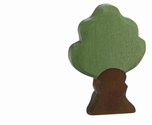 オストハイマー　アフリカの木 Ostheimerオストハイマー / アフリカユリノキ | wg-anne