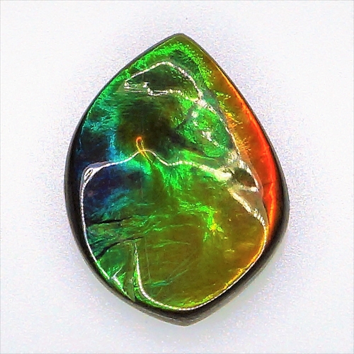 【楽天市場】【店長お勧め】【宝石・ルース】アンモライト Ammolite 6．33ct 【ハイグレード】【ナチュラル】【レアストーン