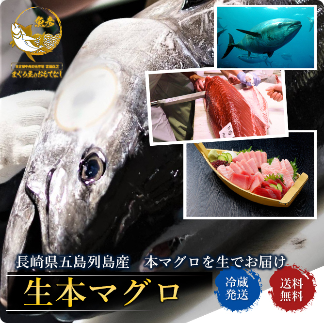 刺身 本マグロ サク 赤身 中トロ セット 丸ごと 約1kg 加熱用 ご堪能