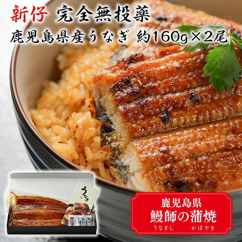 うなぎ界の初物「新仔」 完全無投薬 鹿児島県産 うなぎ 約160g×2尾(タレ、山椒付き) 若狭小浜 小浜海産物 ギフト のし対応可