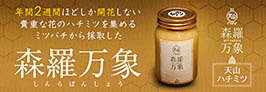 楽天市場】森羅万象 天山蜂蜜 非加熱 はちみつ 600g 年間で