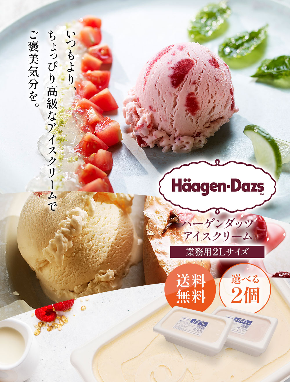 ハーゲンダッツ 業務用 2リットル よりどり 2個セット 送料無料 