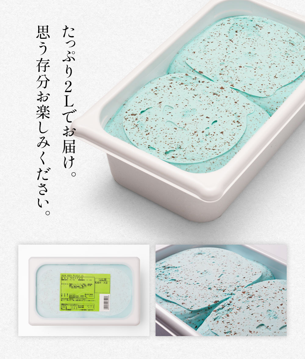 チョコミントアイス タカナシ チョコミント2リットル | チョコミント