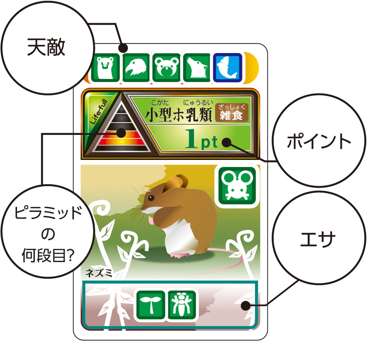 楽天市場 本日ポイント10倍 食物連鎖カードゲーム 生態系の秘密 自由研究 夏休み 自由課題 小学校 小学生 実験キット 実験セット 実験 キット セット 工作 子供 イベント 宿題 自由 研究 課題 理科 科学 化学 クラフト ホビー Life Styleショップm A