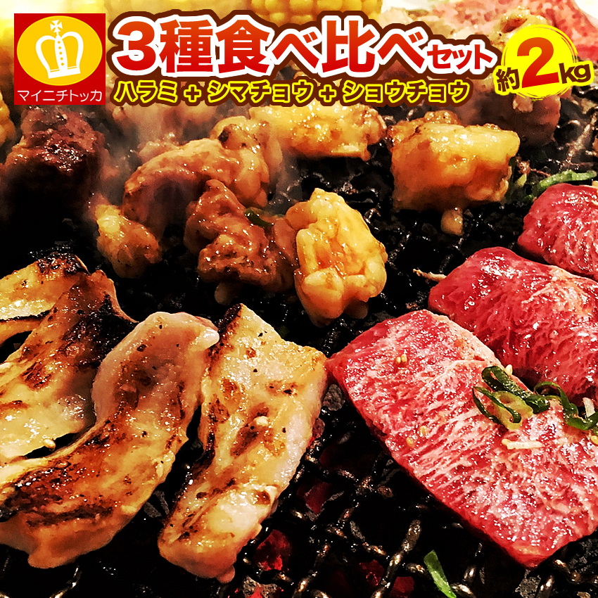 最適な材料 qに焼肉セット合計2キロ タレ漬け牛ハラミ1kg タレ付けショウチョウ500g タレ漬けシマチョウ500ｇ 牛肉 お花見 ホームパーティー 夕ご飯 人気ショップが最安値挑戦 Vancouverfamilymagazine Com