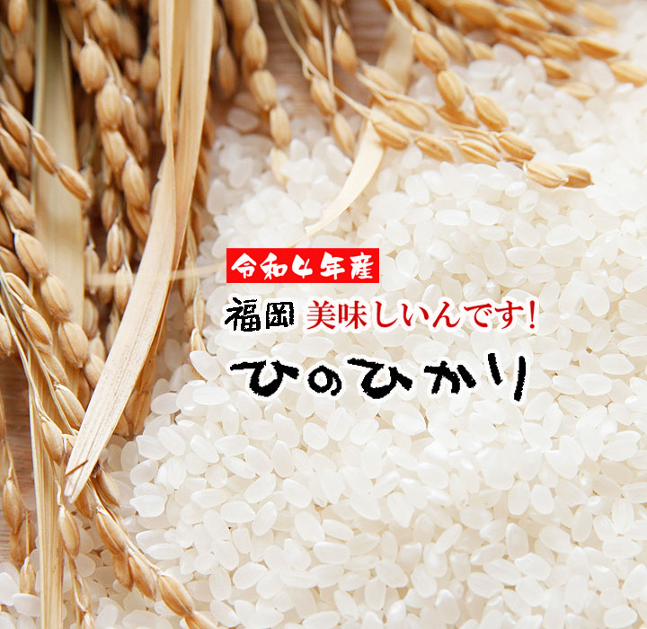 楽天市場】【定期購入 リピーター 5%OFF】ひのひかり 白米 2022年産 米