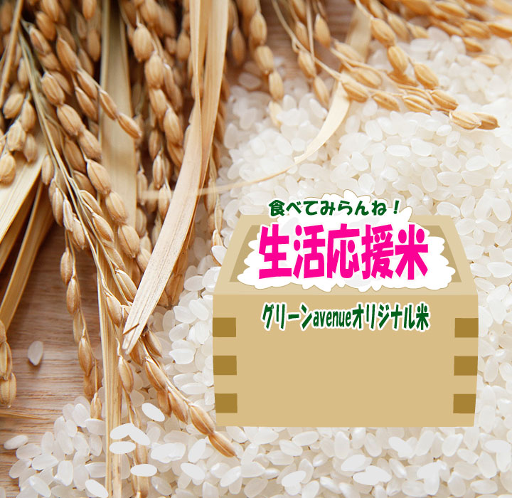 【楽天市場】米 20Kg おすすめ 激安 白米 令和5年産米入り 複数年産